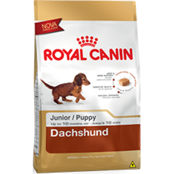 Dachshund Junior Royal Canin - 3 kg